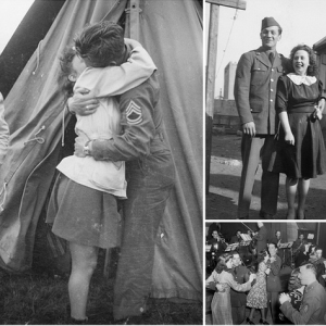 戰(zhàn)火中的愛(ài)情