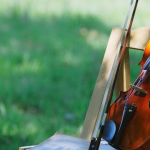 五月，到辰山聽一場草地廣播音樂節