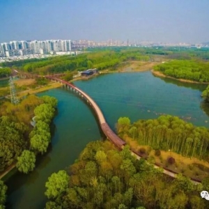 清明節(jié)踏青好地方就在昆山植物園和百草園以及空中長廊哦！