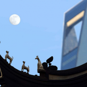 上海：本土文化“進鄉(xiāng)扎根” 　　