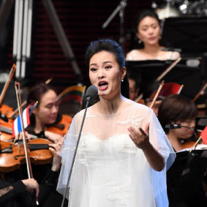 “文化強市”讓深圳綻放出更加迷人的光彩