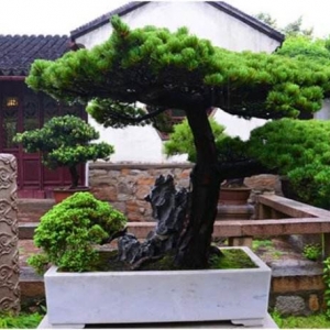 推薦：何為江南文化？江南文化是什么？