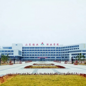 山東鋁業職業學院 “六十年轉型發展，產教融合、校企合作  高峰論壇”議程安排