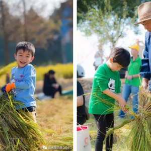 上海市松江區(qū)石湖蕩首屆農(nóng)耕文化節(jié)活動(dòng)報(bào)名