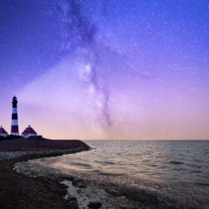 《上海文學(xué)》2019年第2期|臧棣新作