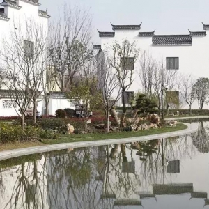 家門口的古徽州你竟不知道？快去打卡上海這座粉墻黛瓦的社區公園