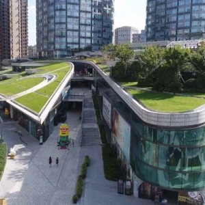 上海越來越多建筑開始“頭上長草”，立體綠化到底燒不燒錢？
