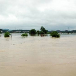 己亥六月初萍鄉洪災詠嘆
