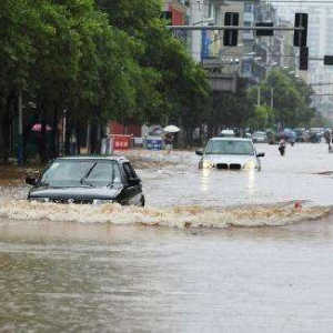 章臺柳·上栗抗洪搶險