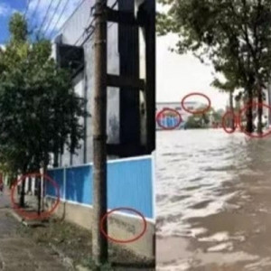 薛之謙臺風天爬電線桿，別搞怪蹭流量博眼球了！