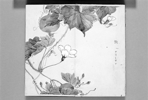 “中國(guó)風(fēng)”與日本江戶(hù)詩(shī)經(jīng)學(xué)