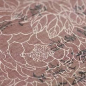 他將12位上了暗殺名單的人轉移｜一出戲，一個絕密任務