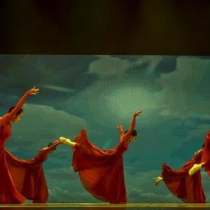 從格子間到大舞臺：白領有多愛跳舞？