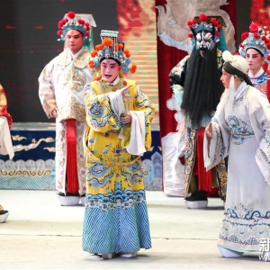 銀川第五屆秦腔節《貍貓換太子》演出落幕