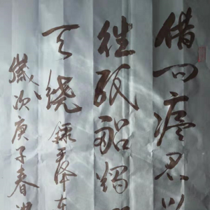 戰疫情|洪生：書法作品