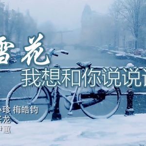 歌曲欣賞《雪花，我想和你說說話》