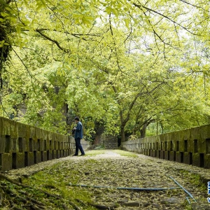 重慶綦江：千年古鎮韻味濃