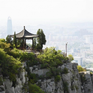 濟南：佛慧山春意濃