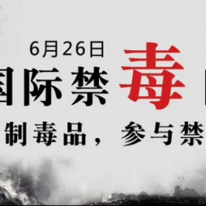 林子：致禁毒警察之歌