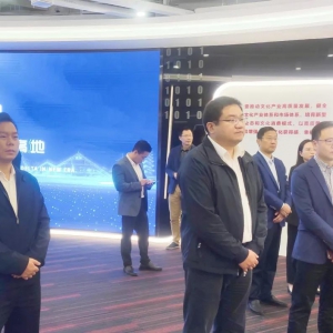 松江區委宣傳部部長張磊開展上?？萍加岸紝ｎ}調研
