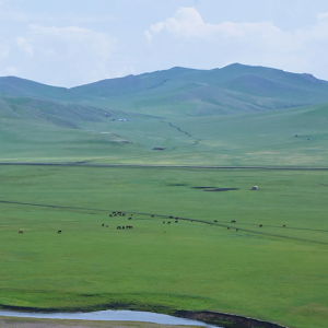 歌唱美好愛情 《草香姑娘》首發