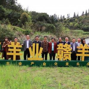 江西萍鄉市辭賦學會——杉木采風作品輯