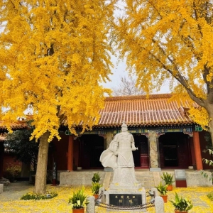 一部悲壯愛情微詩劇感動北京東京