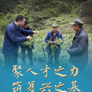 聚人才之力　筑復(fù)興之基——新時(shí)代人才事業(yè)發(fā)展成就綜述