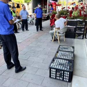 晝夜開展集中整治  源頭落實精細管理 ——松江區(qū)佘山鎮(zhèn)城管中隊開展晝夜整治行動