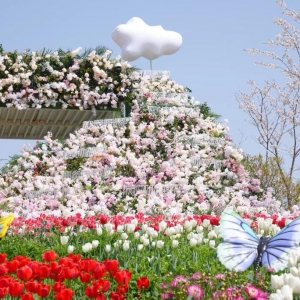 上海金山推動“旅游+”融合發展：全域旅游多點開花