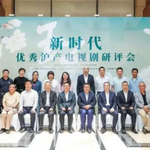 電視劇提質減量時代，“上海牌”電視劇緣何佳作頻頻？