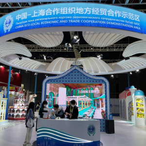 特稿：攜手向亞歐大陸的美好未來進發——習近平主席推動構建上海合作組織命運共同體