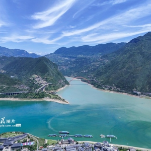 重慶：長江巫峽段現“涇渭分明”鴛鴦景觀